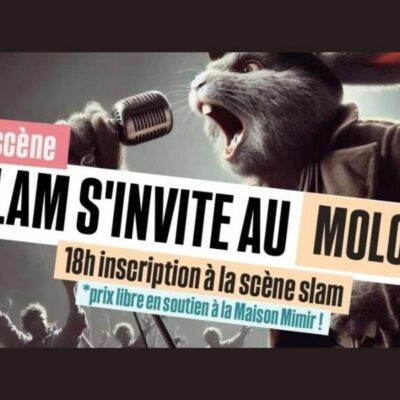 Scène SLAM au MIMIRODOÏ (Soutien à Mimir) : image à la une