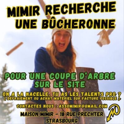 MIMIR RECHERCHE une BÛCHERONNE ou un BÛCHERON PRO !!!! : image à la une