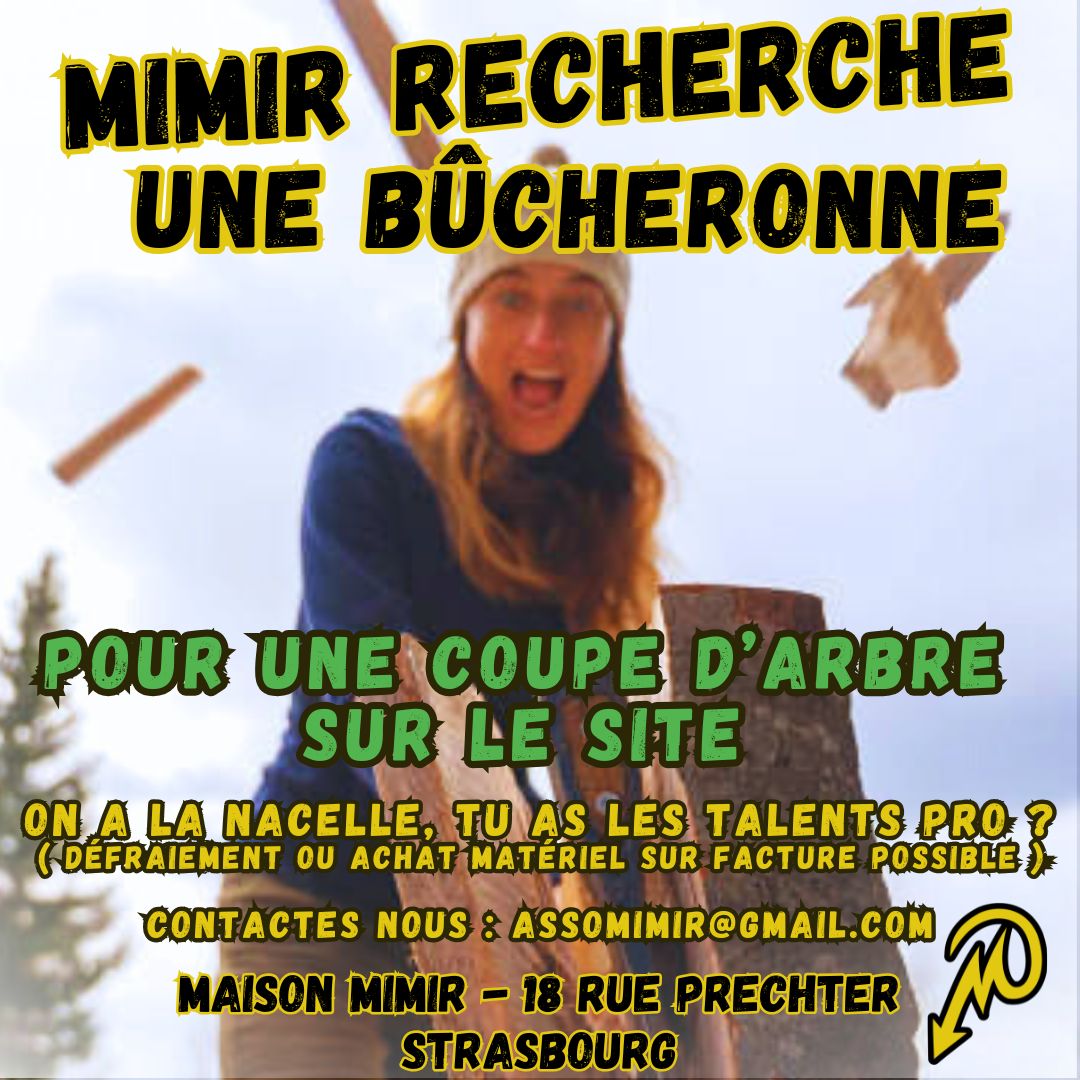 MIMIR RECHERCHE une BÛCHERONNE ou un BÛCHERON PRO !!!! : Image à la une