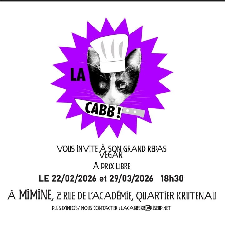 Repas vegan la cabb fevrier 2026