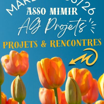 AG Projets de l’association Mimir : image à la une