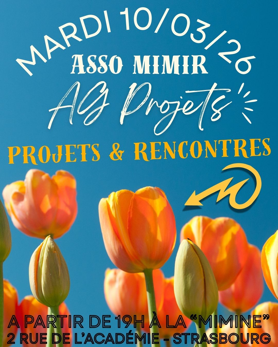 AG Projets de l’association Mimir : Image à la une